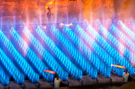 Larbert gas fired boilers